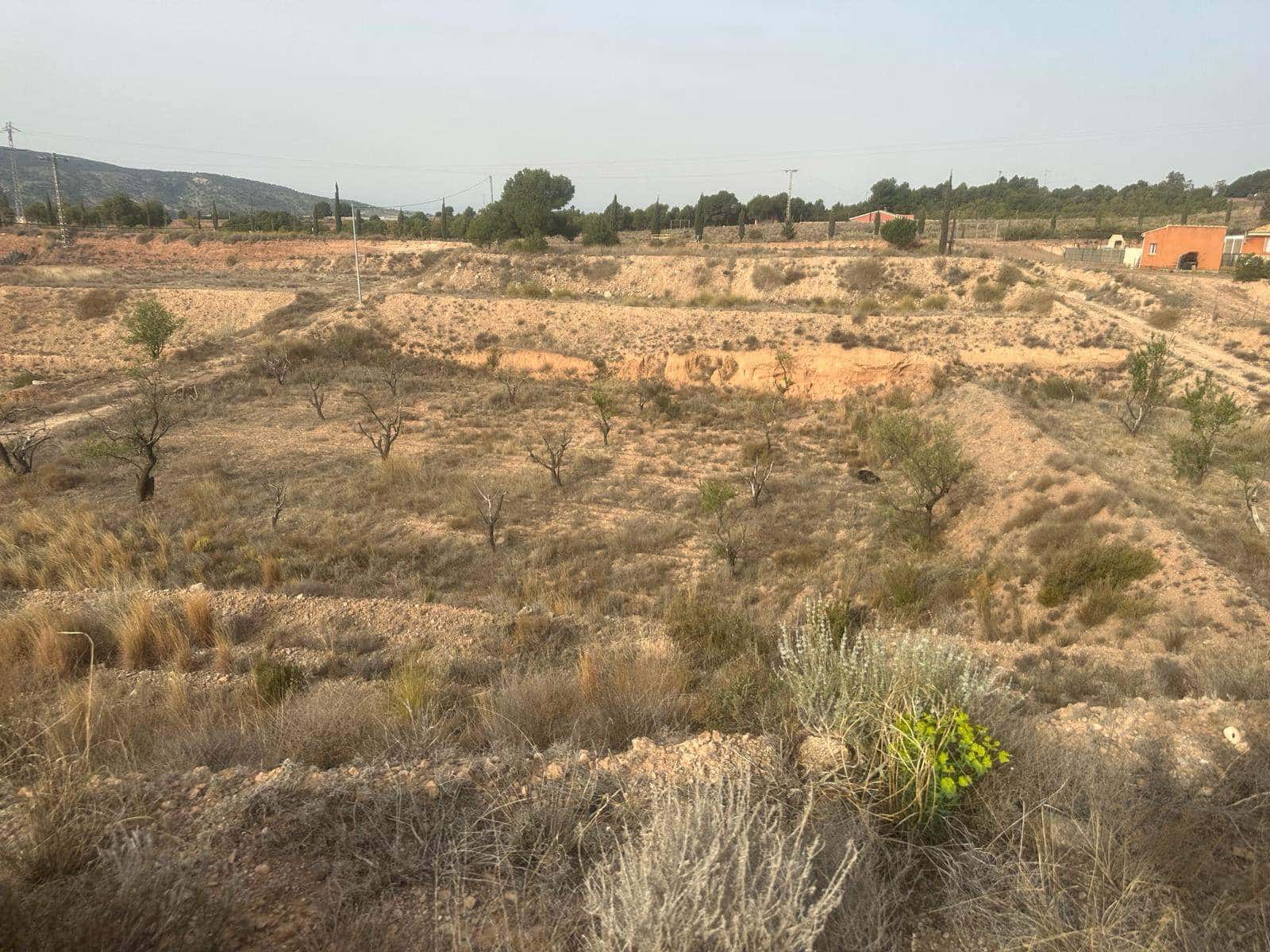 3 soveværelse Finca/Landehus til salg i Totana - € 195.000 (Ref: 9151658)