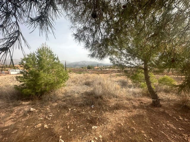 3 soveværelse Finca/Landehus til salg i Totana - € 195.000 (Ref: 9151658)