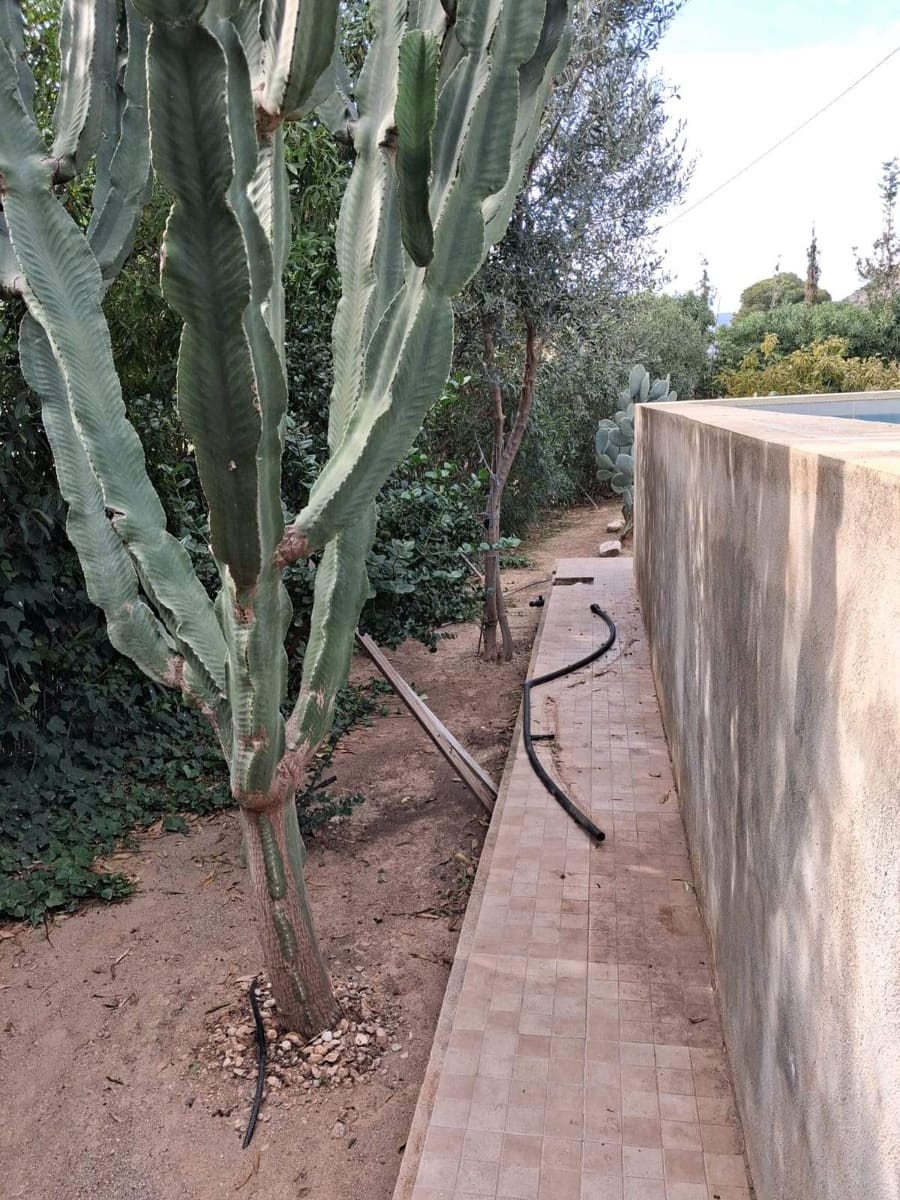 2 soveværelse Finca/Landehus til salg i Pastrana - € 134.900 (Ref: 9451440)