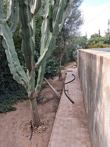 2 soverom Finca/Herregård til salgs i Pastrana, Mazarrón - € 134 900 (Ref: 9451440)