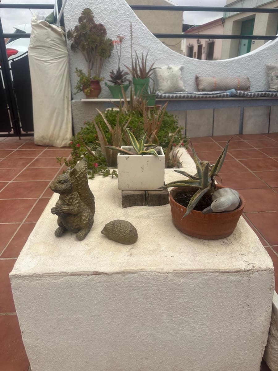 2 Zimmer Finca/Landgut zu verkaufen in Mazarron - 114.900 € (Ref: 9659687)