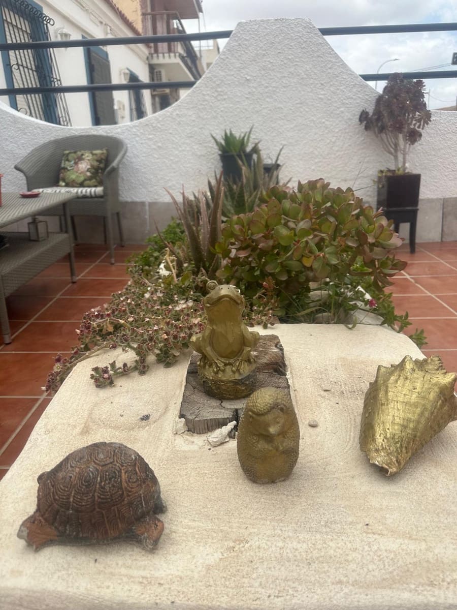 2 Zimmer Finca/Landgut zu verkaufen in Mazarron - 114.900 € (Ref: 9659687)