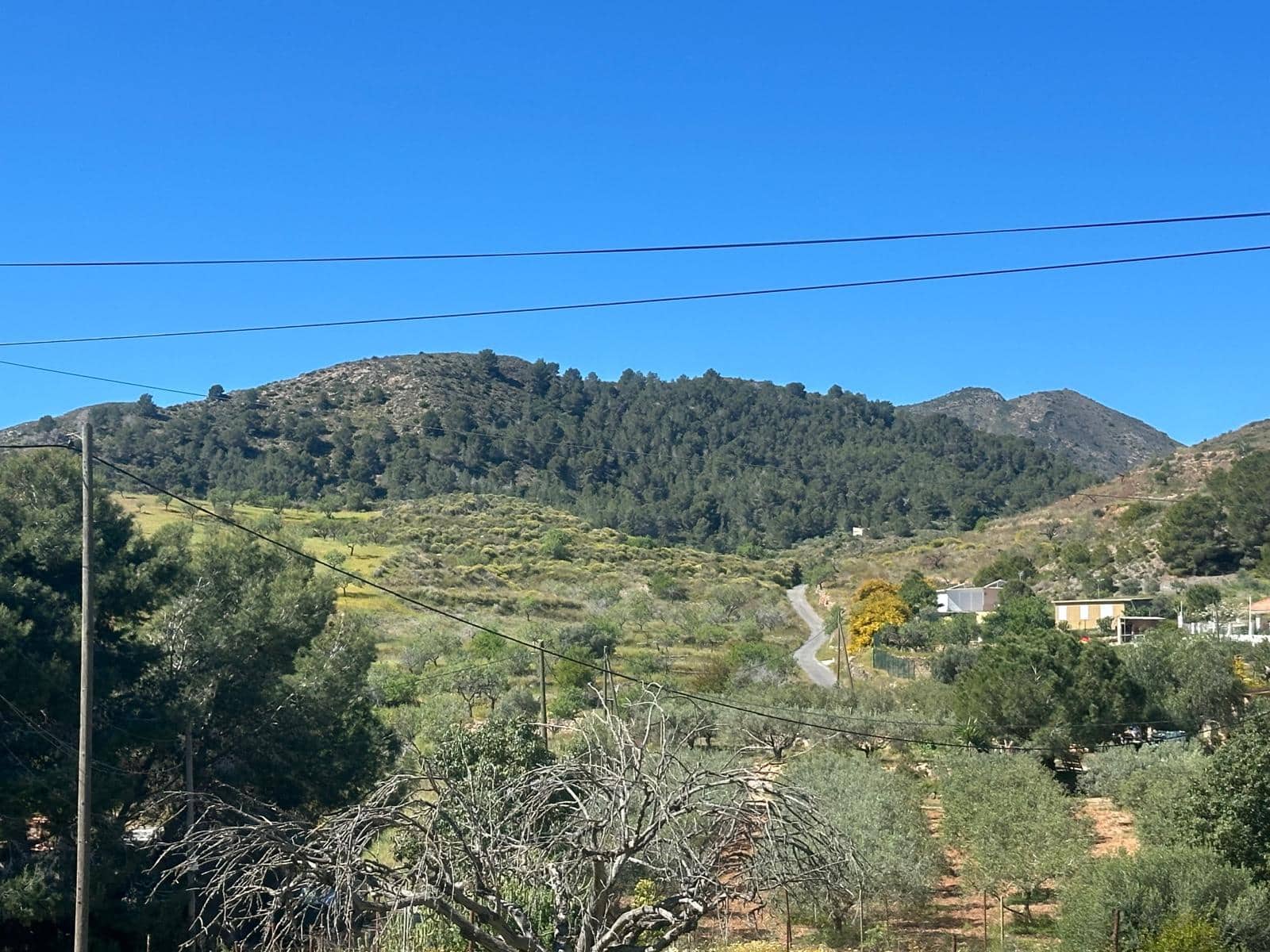 3 bedroom Finca/Country House for sale in Murcia city - € 154,900 (Ref: 9747225)