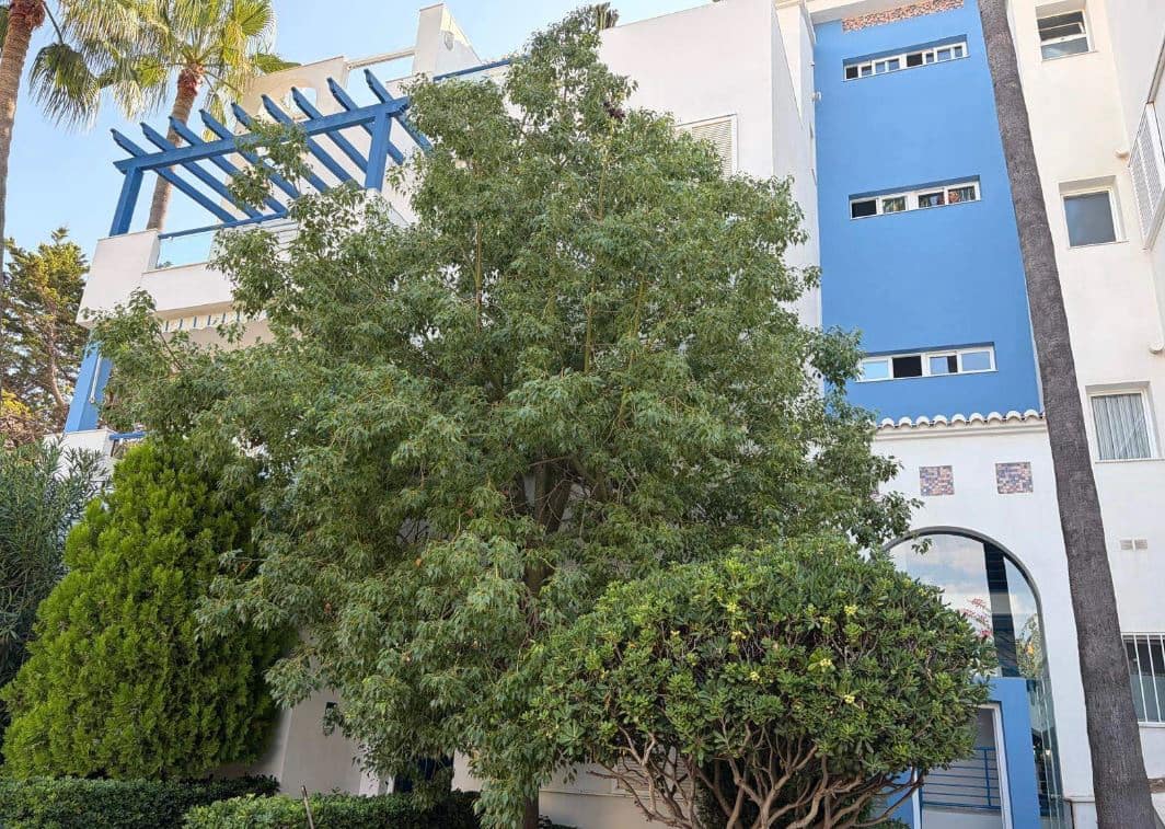 Apartamento de 1 habitación en Dénia en venta con piscina garaje - 184.000 € (Ref: 10138977)