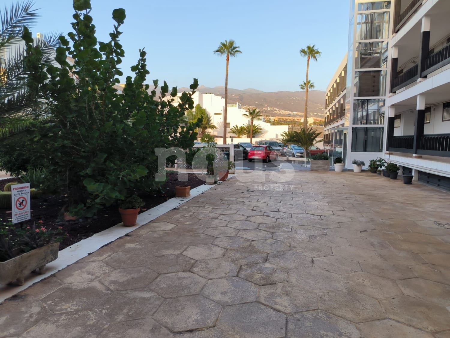 1 sovrum Lägenhet till salu i Callao Salvaje med pool - 252 000 € (Ref: 8567059)