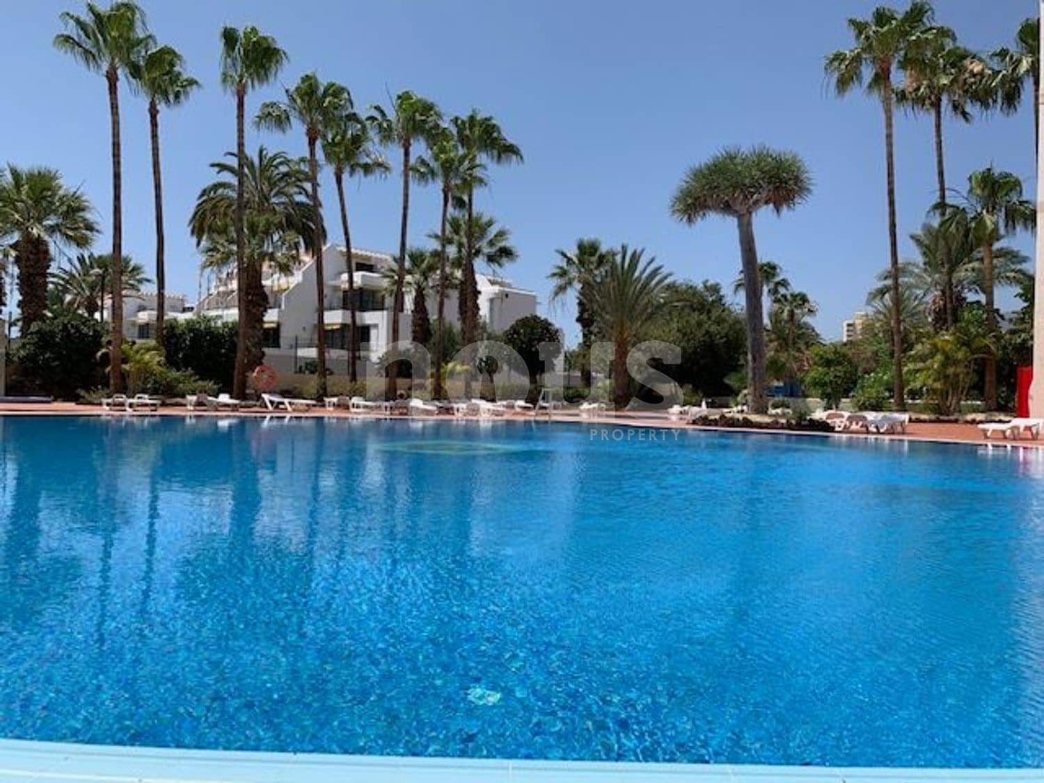 1 soveværelse Lejlighed til salg i Playa de las Americas med swimmingpool - € 330.000 (Ref: 8657825)