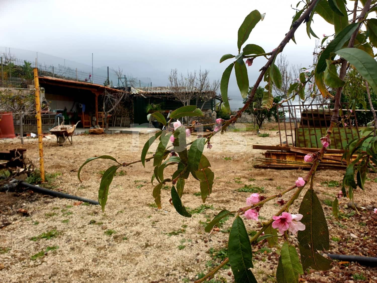 Finca/Landehus til salg i Guia de Isora - € 218.000 (Ref: 9023832)