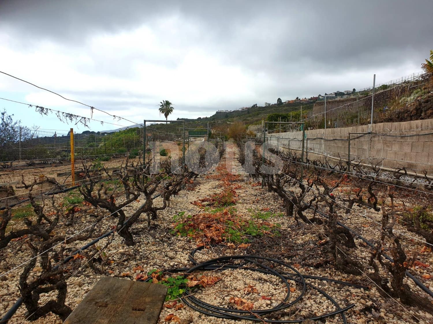 Finca/Landehus til salg i Guia de Isora - € 218.000 (Ref: 9023832)