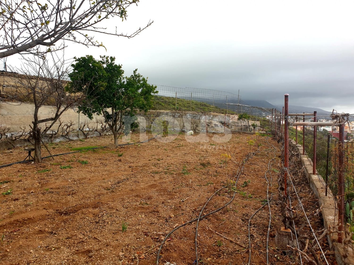 Finca/Landehus til salg i Guia de Isora - € 218.000 (Ref: 9023832)