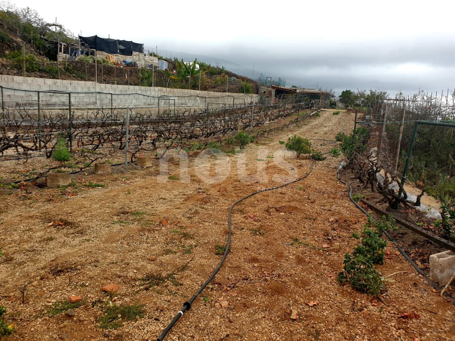 Finca/Landehus til salg i Guia de Isora - € 218.000 (Ref: 9023832)