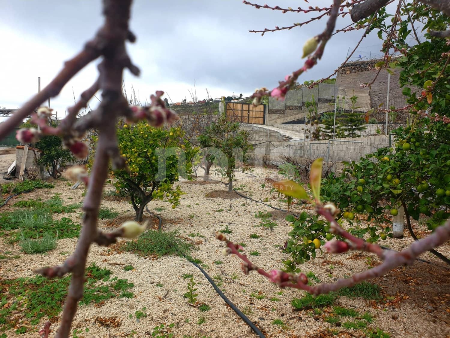 Finca/Landehus til salg i Guia de Isora - € 218.000 (Ref: 9023832)