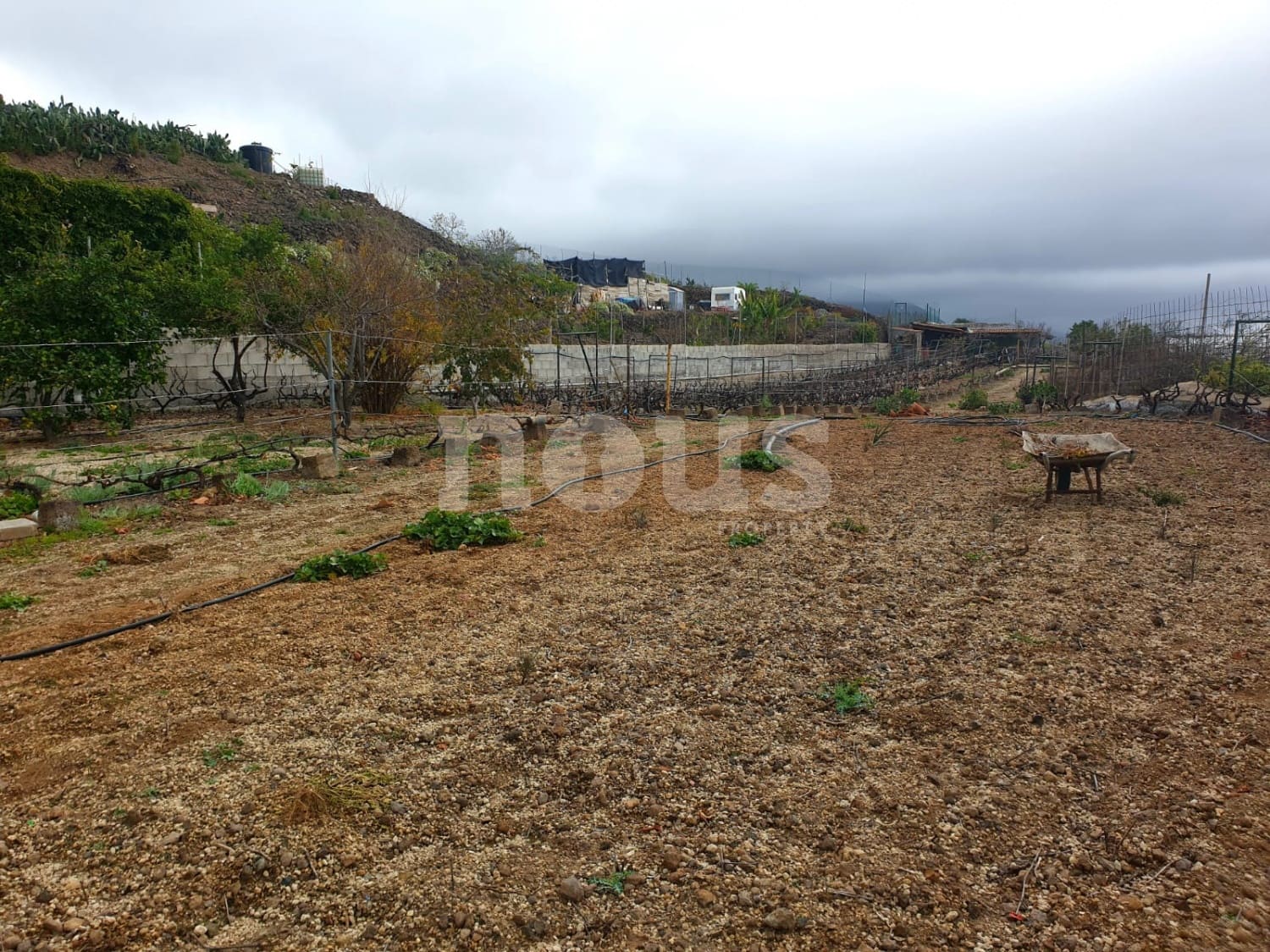 Finca/Landehus til salg i Guia de Isora - € 218.000 (Ref: 9023832)