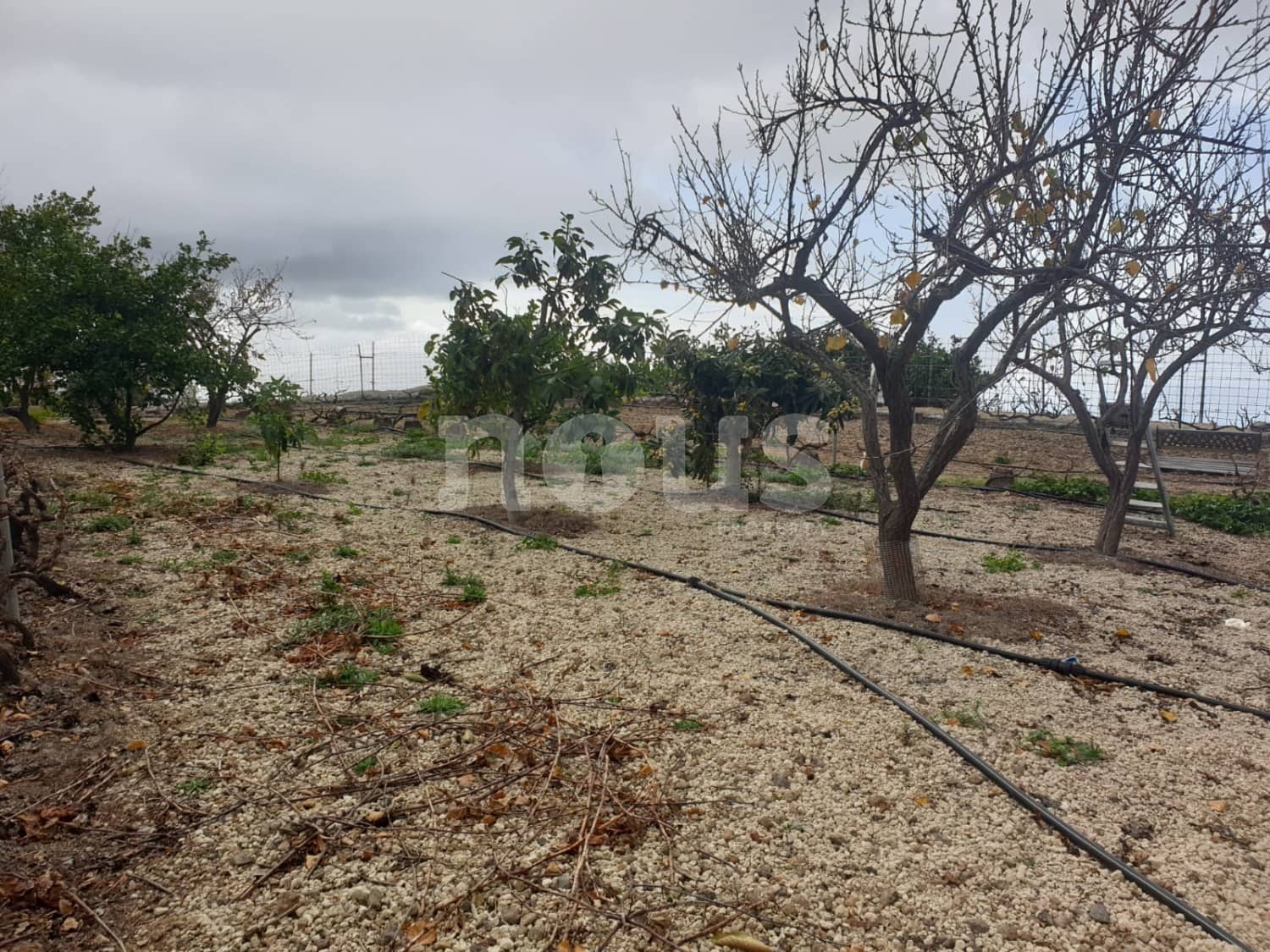 Finca/Landehus til salg i Guia de Isora - € 218.000 (Ref: 9023832)