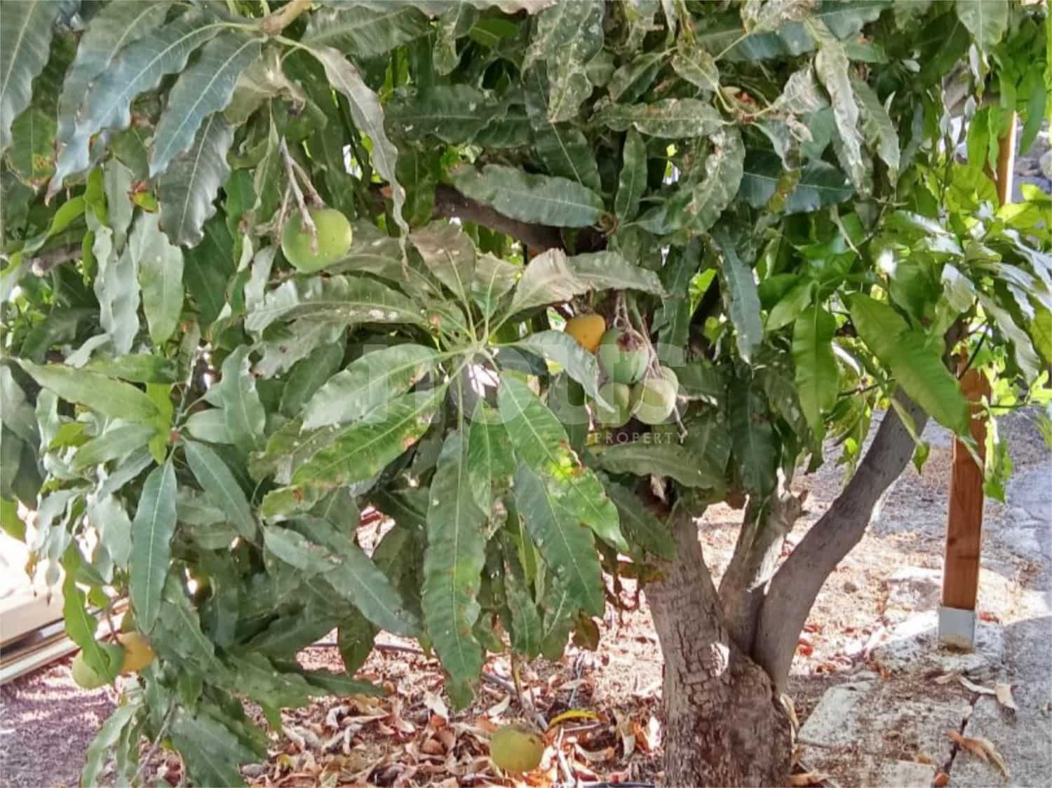 Adosado de 2 habitaciones en Los Menores en venta - 328.000 € (Ref: 9592195)