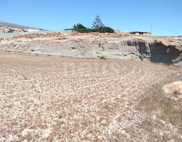 Terre non Aménagée à vendre à Chimiche, Granadilla de Abona - 560 000 € (Ref: 9666998)
