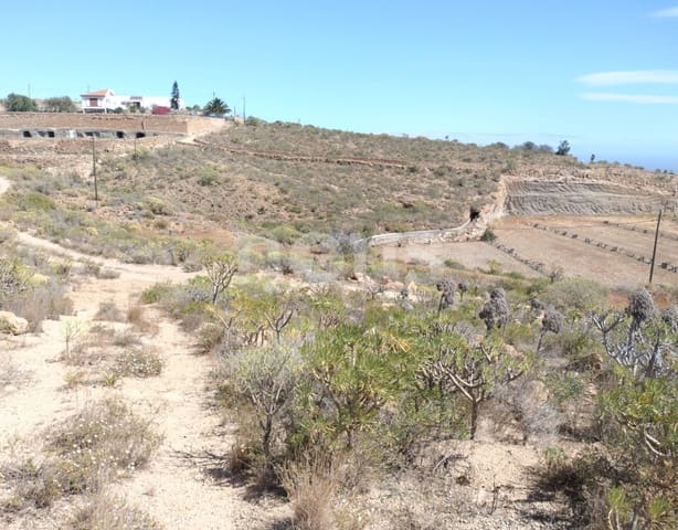 Terre non Aménagée à vendre à Chimiche, Granadilla de Abona - 560 000 € (Ref: 9666998)