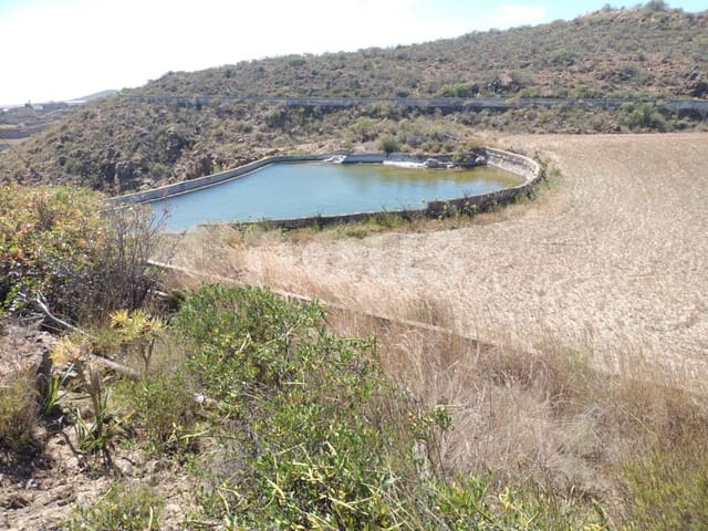 Terre non Aménagée à vendre à Chimiche, Granadilla de Abona - 560 000 € (Ref: 9666998)