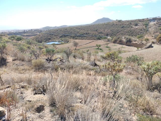 Terre non Aménagée à vendre à Chimiche, Granadilla de Abona - 560 000 € (Ref: 9666998)