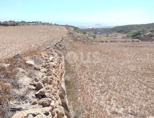 Terre non Aménagée à vendre à Chimiche, Granadilla de Abona - 560 000 € (Ref: 9666998)