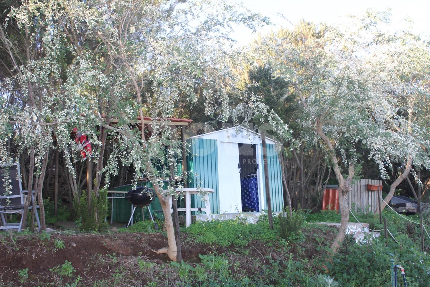 Undeveloped Land for sale in El Tanque - € 128,000 (Ref: 9937344)