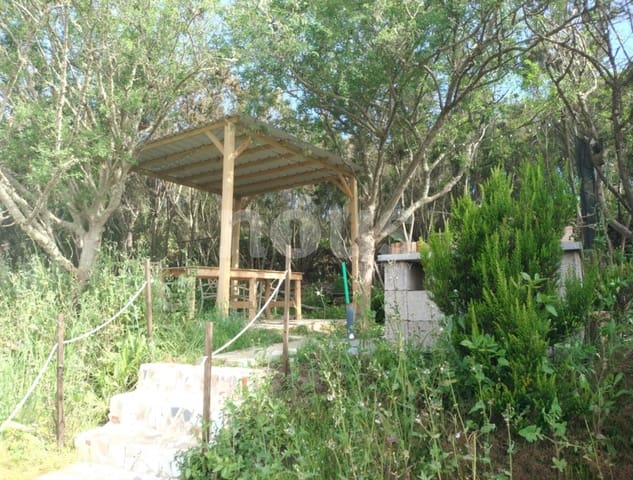 Mark till salu i El Tanque - 128 000 € (Ref: 9937344)