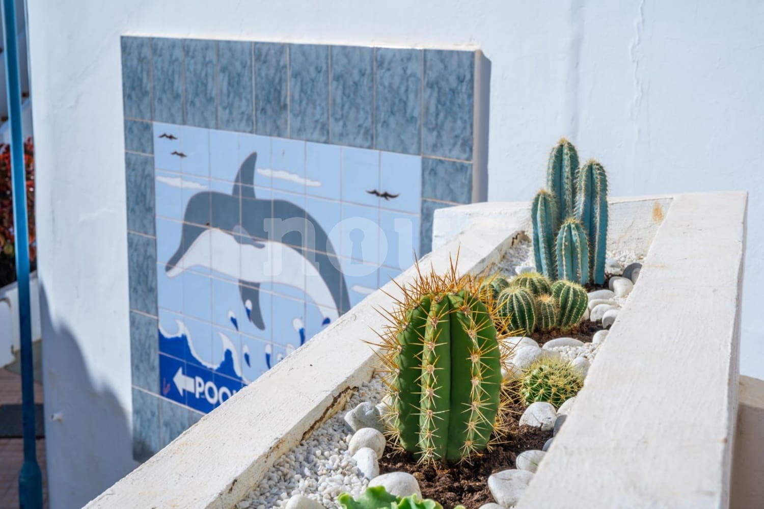 1 soverom Studio til salgs i Costa Adeje med svømmebasseng - € 220 000 (Ref: 9945039)