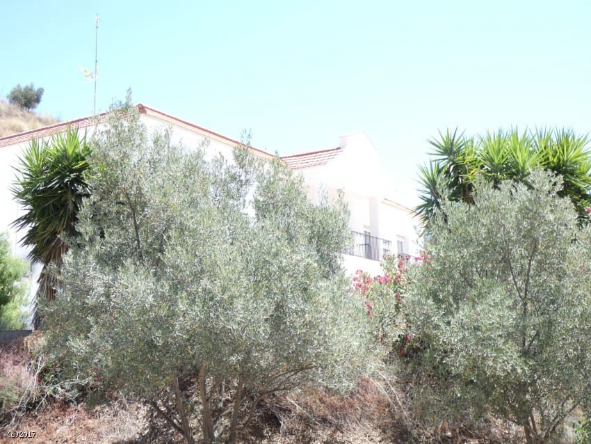 7 soveværelse Virksomhed til salg i Rincon de la Victoria - € 925.000 (Ref: 7716138)