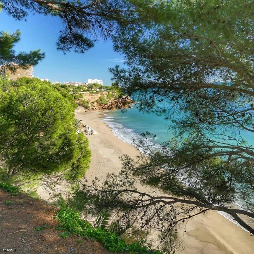 Virksomhed til salg i Tarragona by - € 1.250.000 (Ref: 7716177)