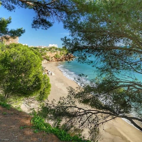 Business for sale in Tarragona city - € 1,250,000 (Ref: 7716177)