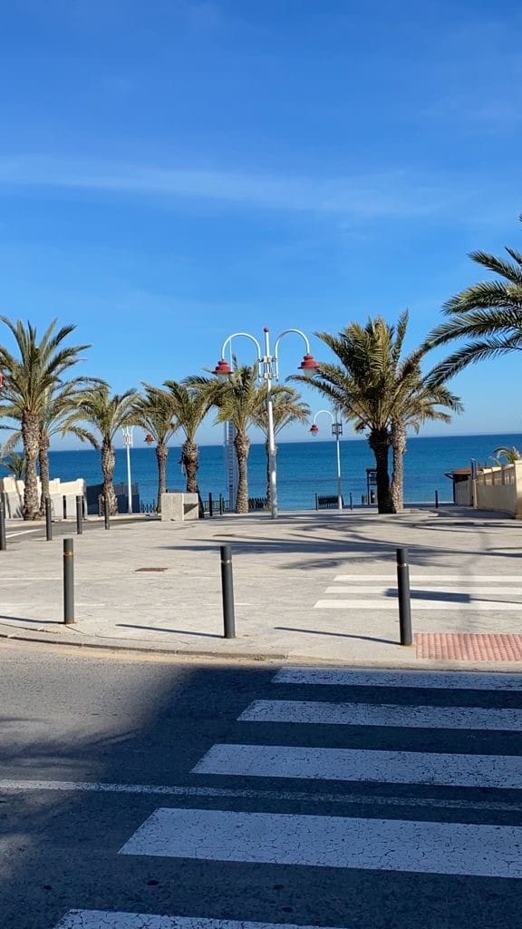 Azienda in vendita in Arenales del Sol - 3.500.000 € (Rif: 7716224)