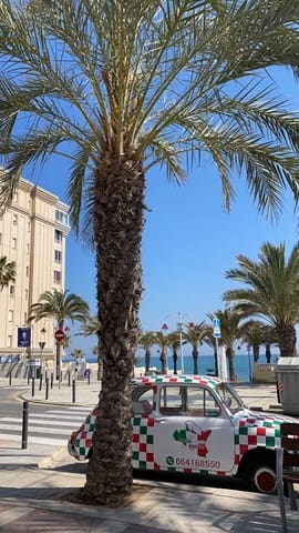 Business for sale in Arenales del Sol, Elche / Elx - € 3,500,000 (Ref: 7716224)