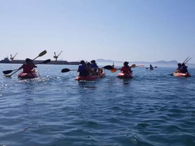 1 soveværelse Virksomhed til salg i Puerto de Alcudia, Alcúdia - € 270.000 (Ref: 7716254)