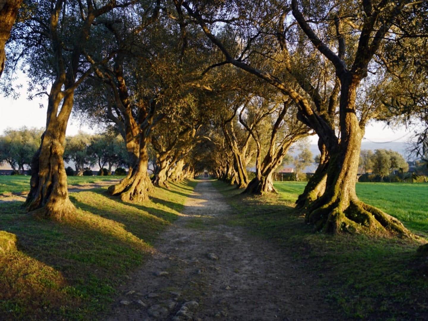 Virksomhed til salg i A Coruna by - € 199.000 (Ref: 7716452)