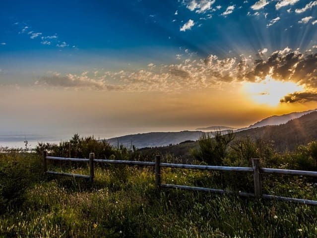 Bedrift til salgs i La Coruña by - € 199 000 (Ref: 7716452)