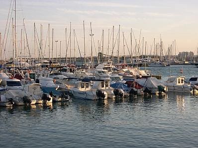 Business for sale in Centro - Muelle Pesquero, Torrevieja - € 275,000 (Ref: 8494060)