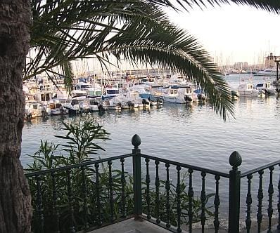 Business for sale in Centro - Muelle Pesquero, Torrevieja - € 275,000 (Ref: 8494060)