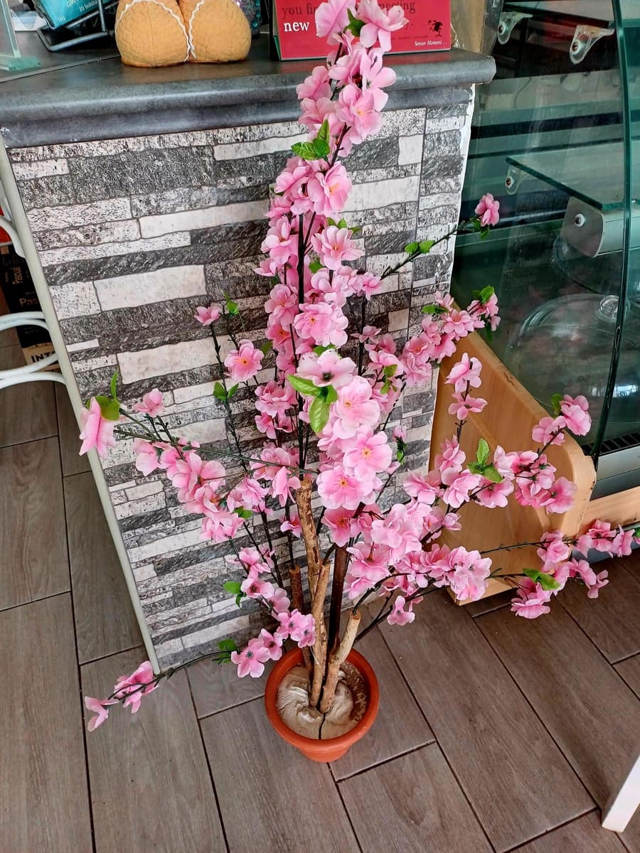 Firma/Unternehmen zu verkaufen in Orihuela - 114.999 € (Ref: 8509791)