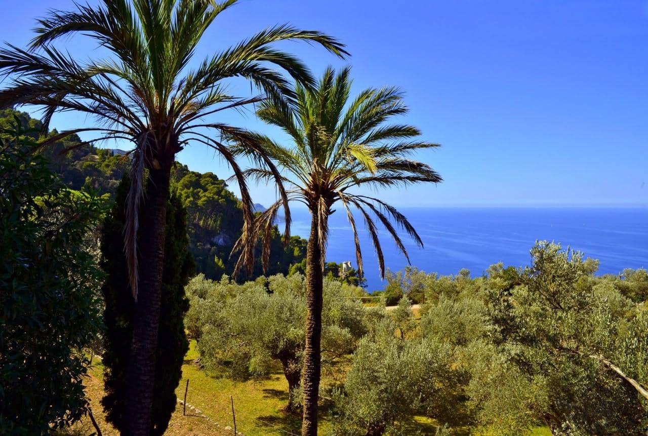 Entreprise à vendre à Palma de Mallorca - 100 000 € (Ref: 8684381)