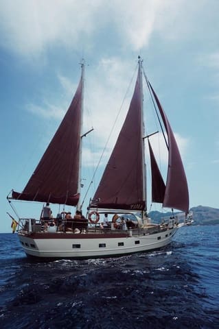 Virksomhed til salg i Palma de Mallorca - € 335.000 (Ref: 8788691)