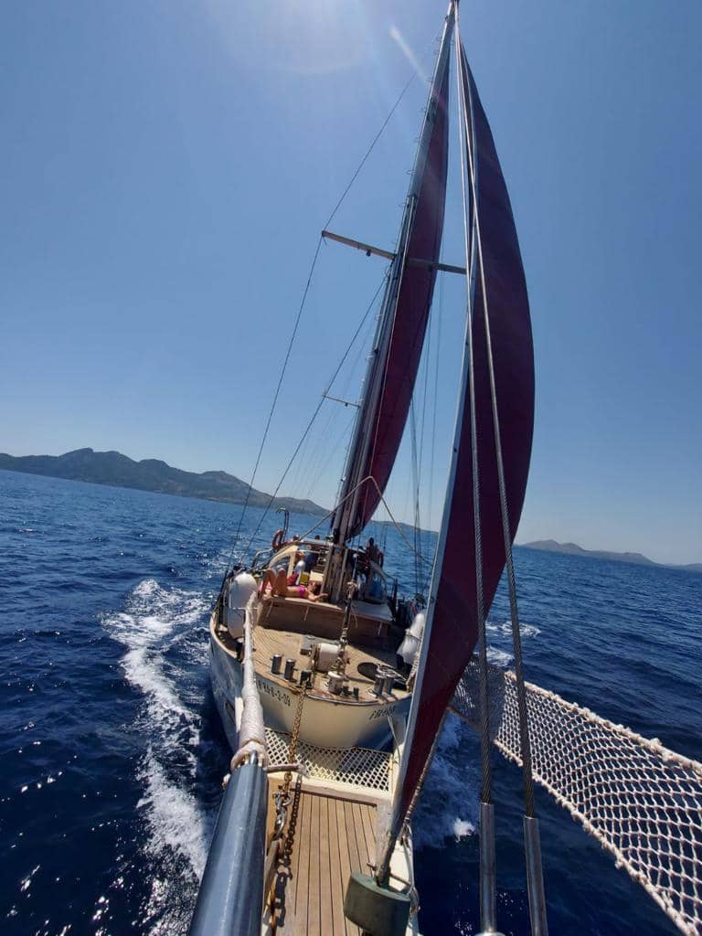 Virksomhed til salg i Palma de Mallorca - € 335.000 (Ref: 8788691)