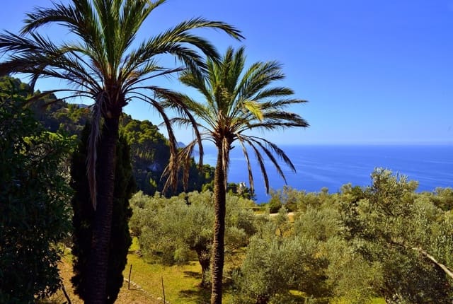 Bedrijf te koop in Sencelles - € 225.000 (Ref: 9626514)