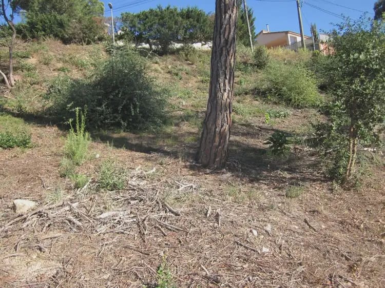 Terrain à Bâtir à vendre à Vidreres - 23 000 € (Ref: 9882360)