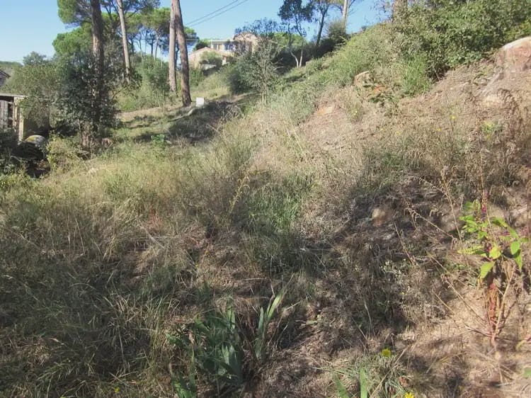 Terrain à Bâtir à vendre à Vidreres - 23 000 € (Ref: 9882360)