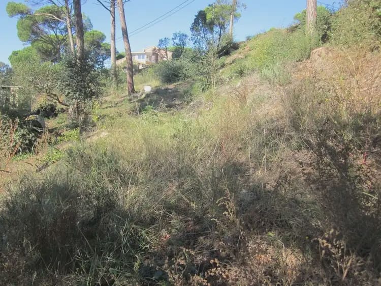 Terrain à Bâtir à vendre à Vidreres - 23 000 € (Ref: 9882360)