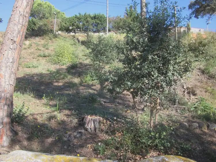 Terrain à Bâtir à vendre à Vidreres - 23 000 € (Ref: 9882360)