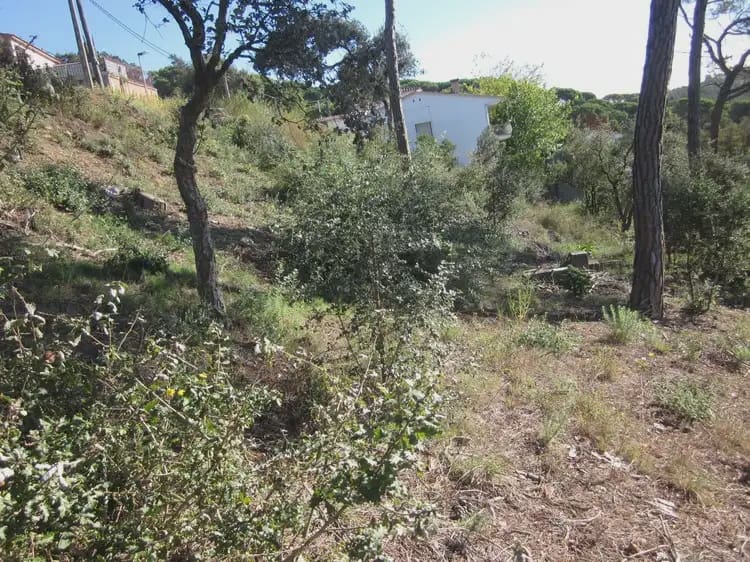 Terrain à Bâtir à vendre à Vidreres - 23 000 € (Ref: 9882360)