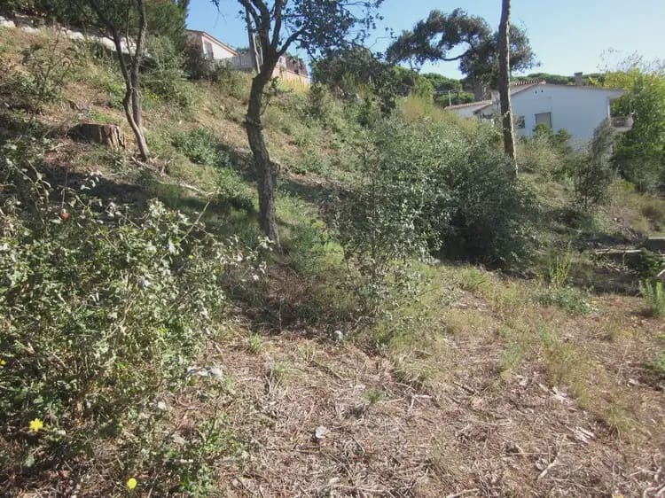 Terrain à Bâtir à vendre à Vidreres - 23 000 € (Ref: 9882360)