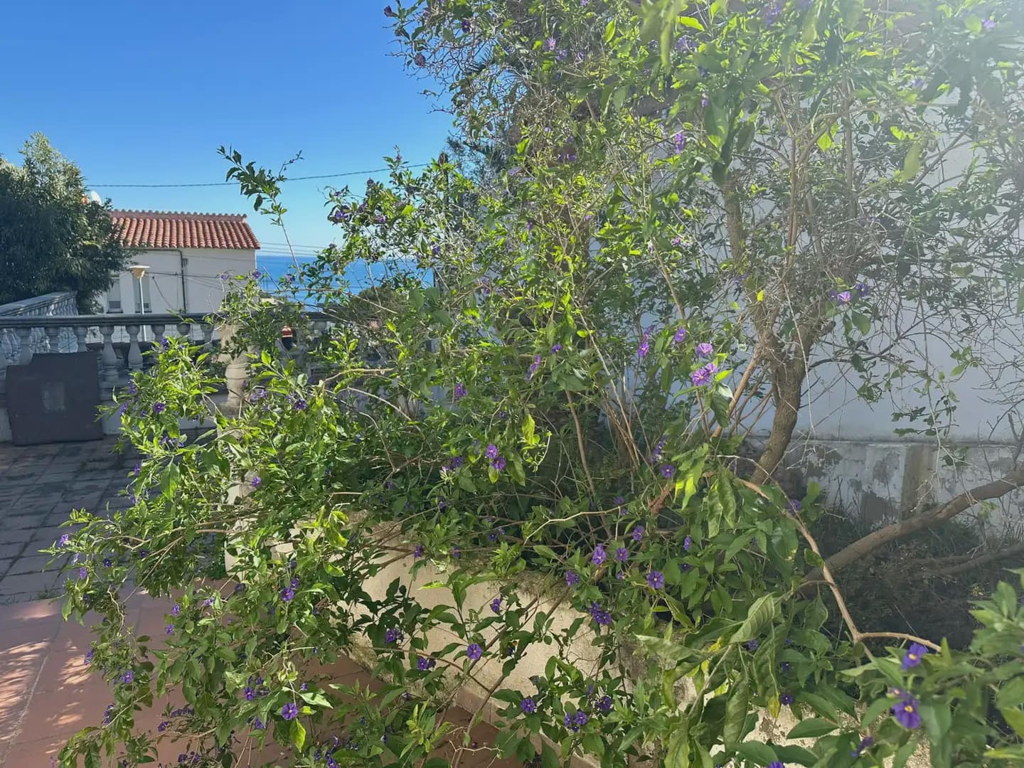 4 sovrum Villa till salu i Llanca med pool garage - 393 000 € (Ref: 9882393)