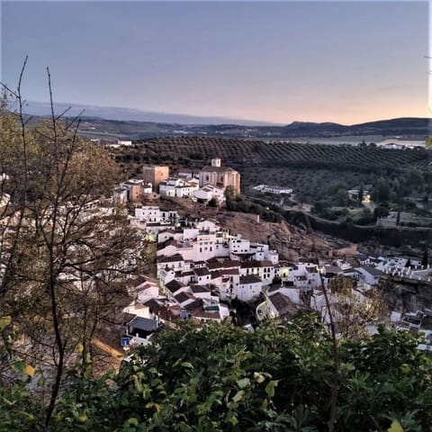 2 sypialnia Biznes na sprzedaż w Setenil de las Bodegas - 480 000 € (Ref: 9656908)