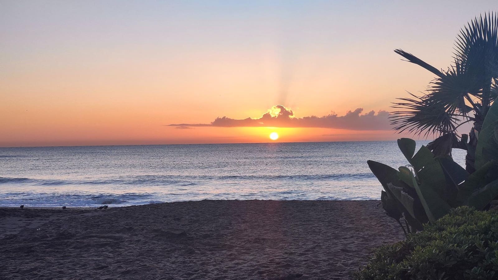 1 bedroom Flat for sale in Torremolinos with pool garage - € 299,000 (Ref: 9656915)